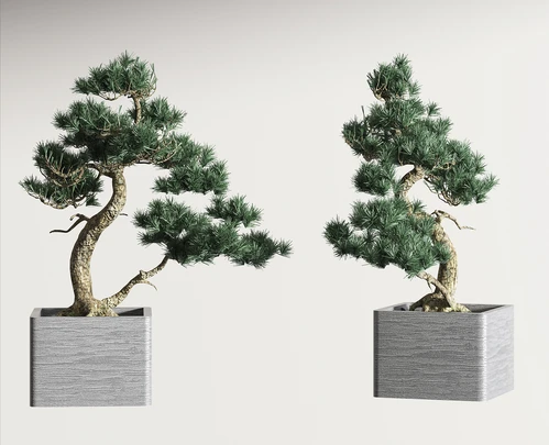 新中式植物盆栽3D模型