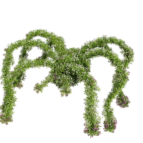 现代蜘蛛造型景观植物