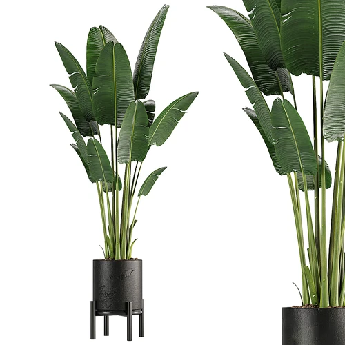 现代绿植盆栽