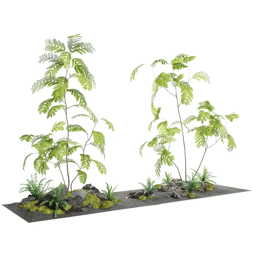 现代景观植物