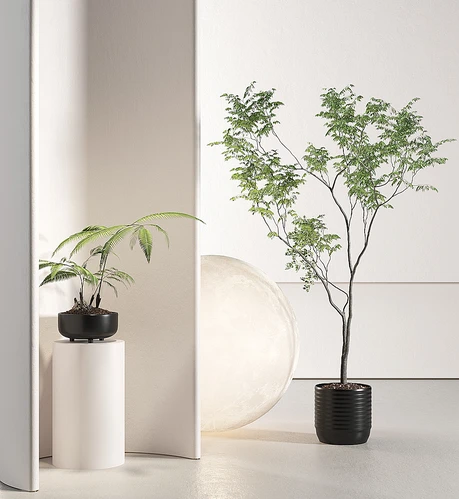 绿植盆栽