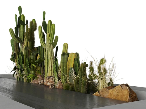 植物堆