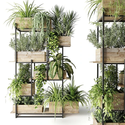 现代盆栽 绿植 植物架 盆景