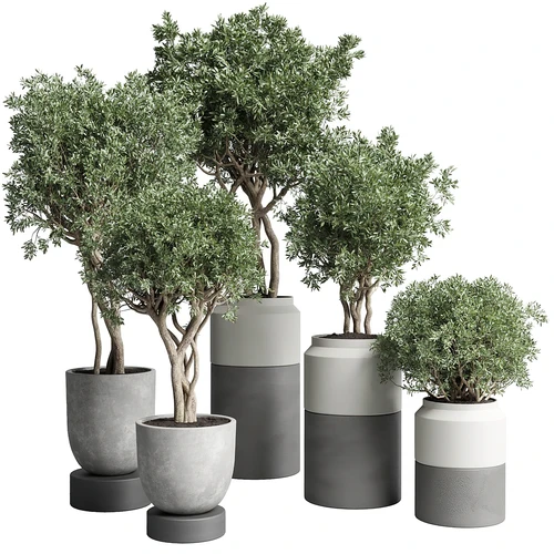 现代绿植盆栽