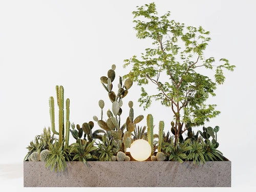 现代植物堆