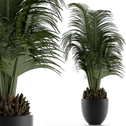 现代绿植盆栽组合