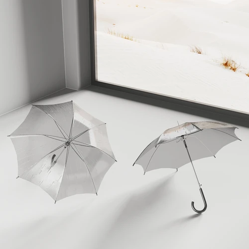 现代透明雨伞