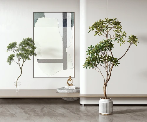 绿植盆栽 盆景