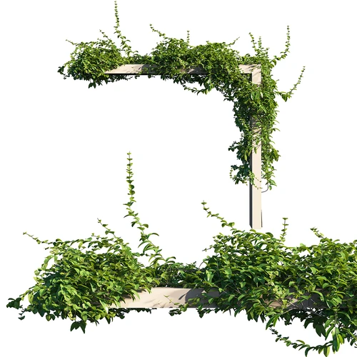 现代绿植藤蔓花草