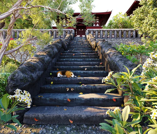 中式景观