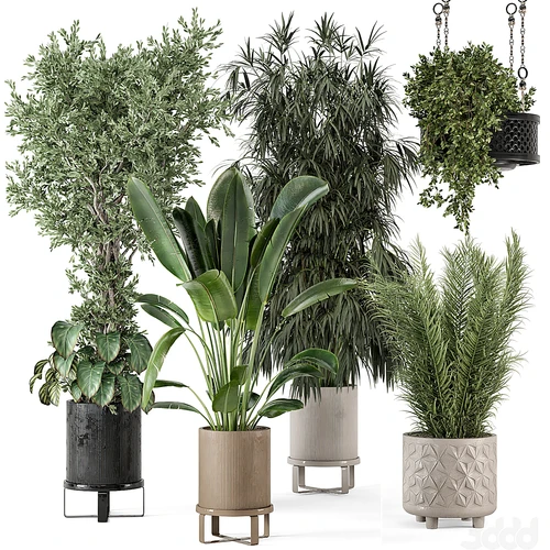 现代绿植盆景盆栽组合