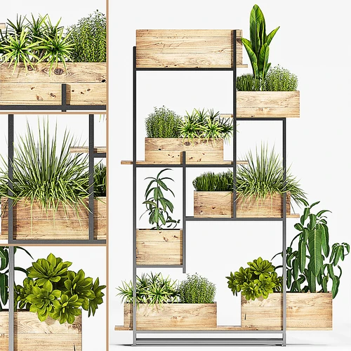 现代植物盆栽
