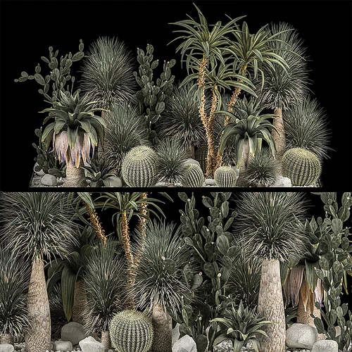 现代植物堆