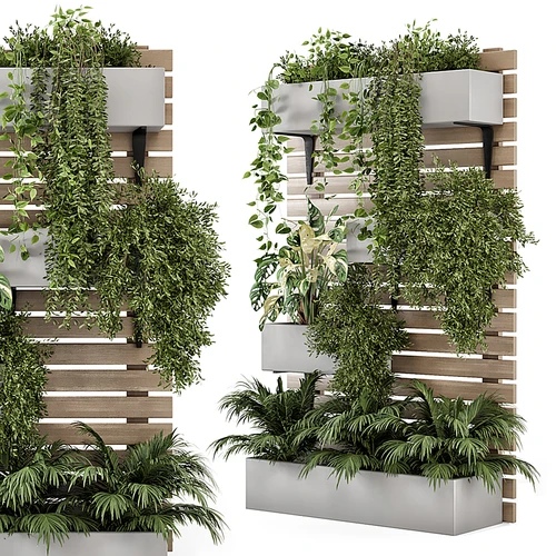 现代植物架