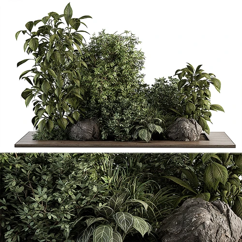 现代植物堆 花圃