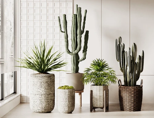 现代绿植盆栽