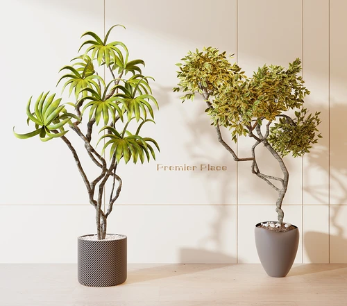 现代绿植盆栽