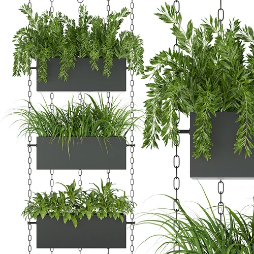 现代植物盆栽
