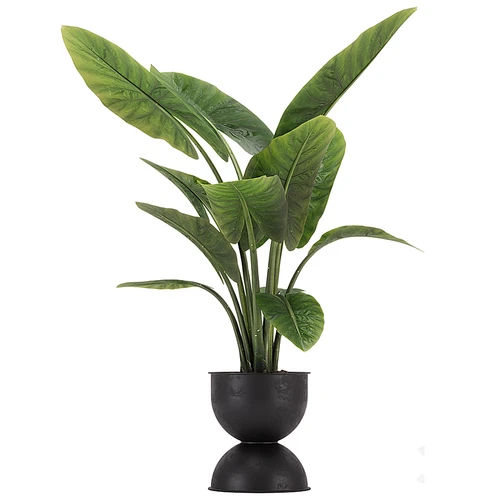 现代植物盆栽