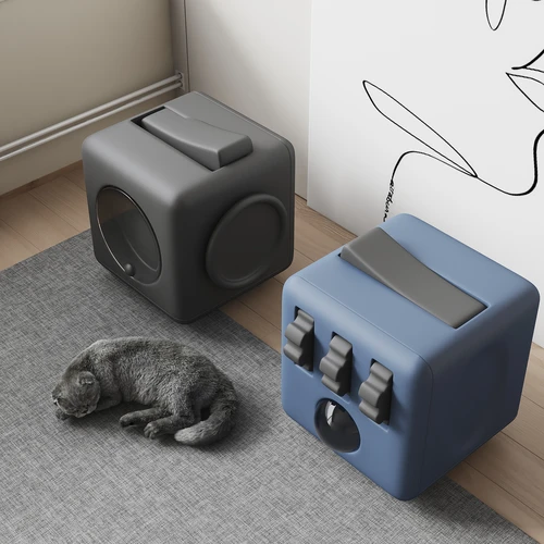 现代猫咪太空舱