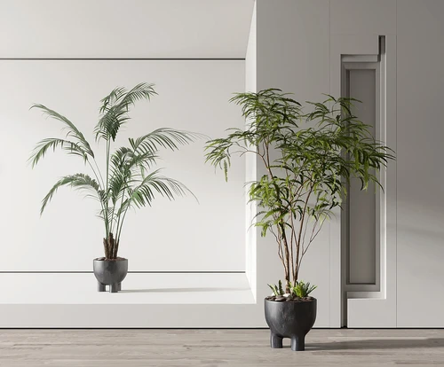 现代绿植盆栽