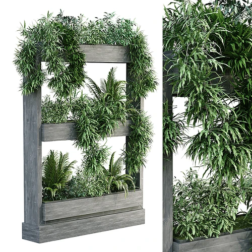 现代植物架