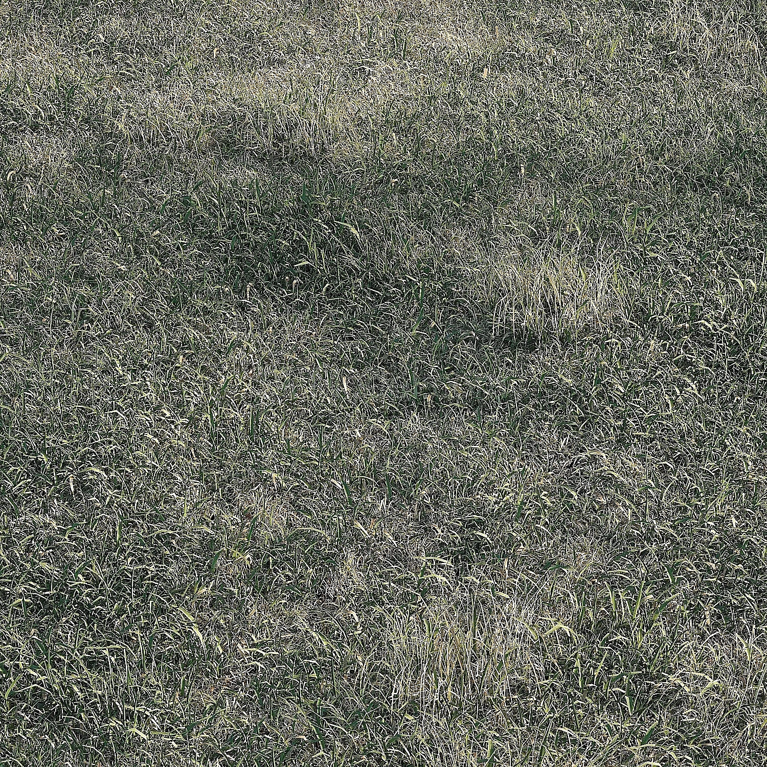 img2