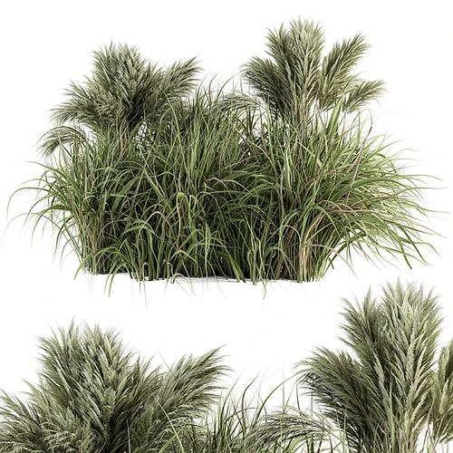 现代植物堆