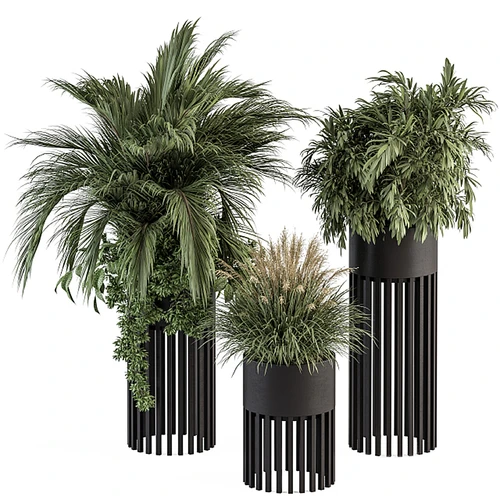 现代植物盆栽