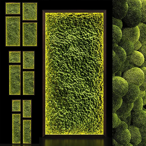现代植物墙