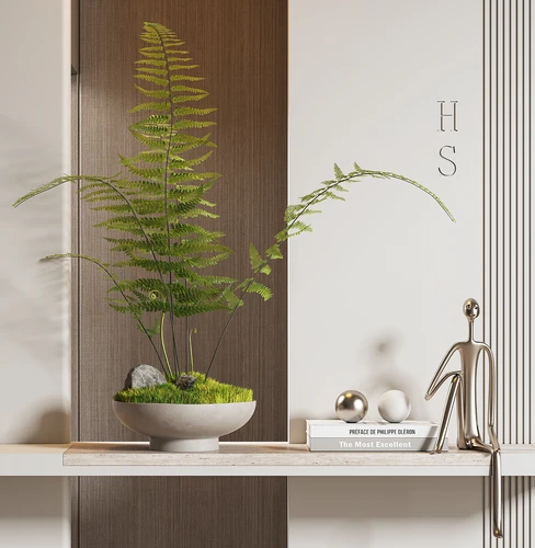 现代绿植盆景摆件
