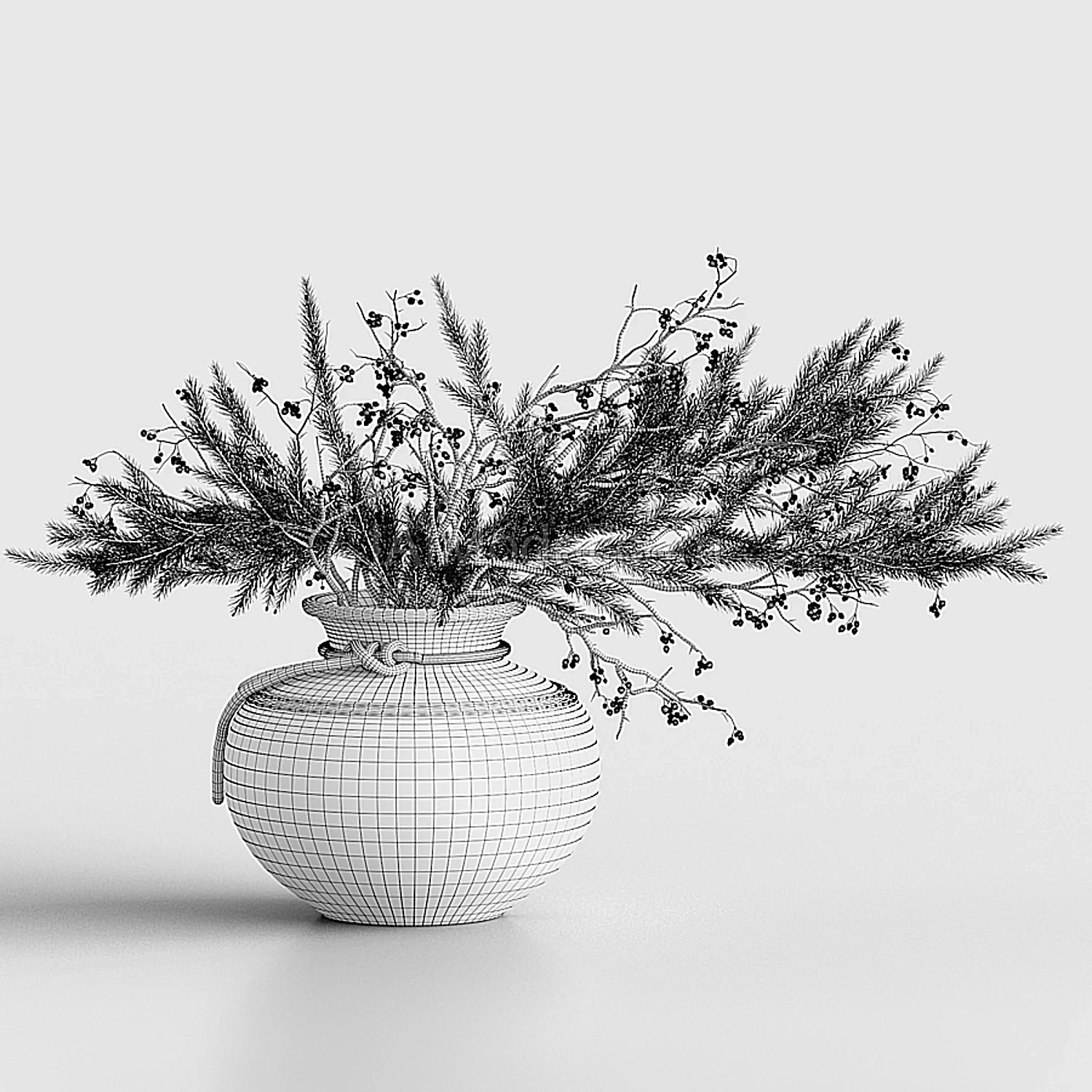 img7