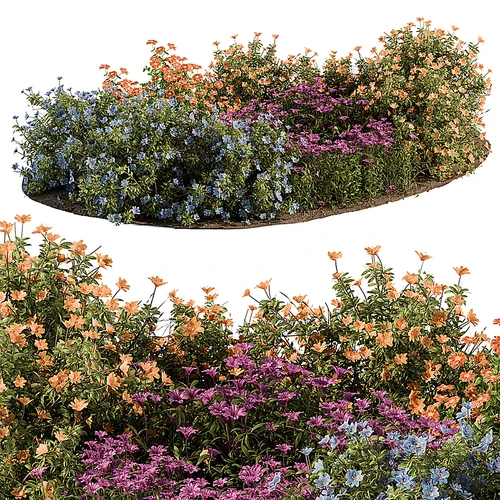 现代植物堆