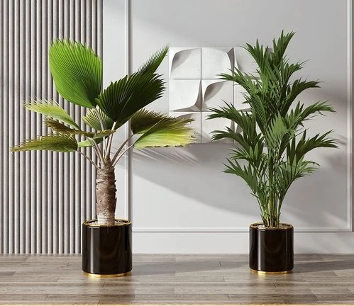 现代绿植盆栽