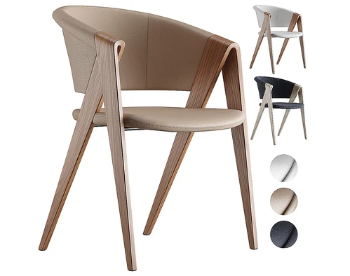Giorgetti 现代休闲椅