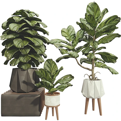现代绿植盆栽
