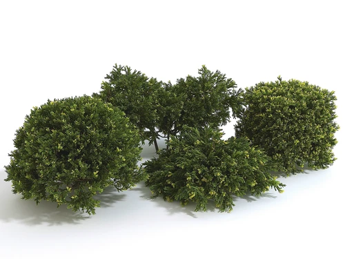 现代风格室外花草