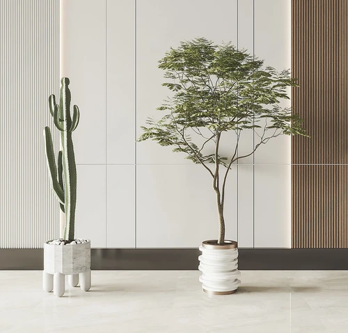 现代绿植盆栽