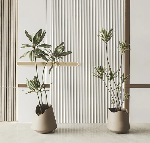 现代绿植盆栽