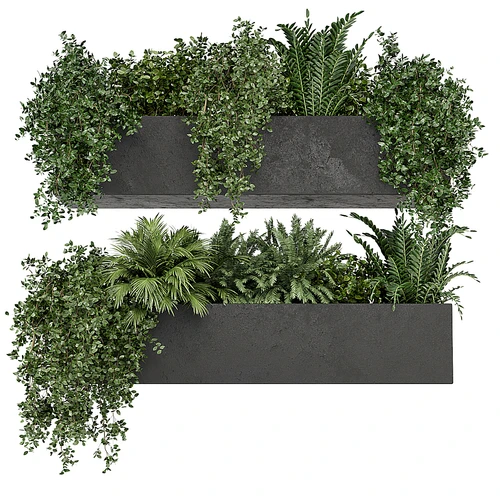 现代绿植盆栽