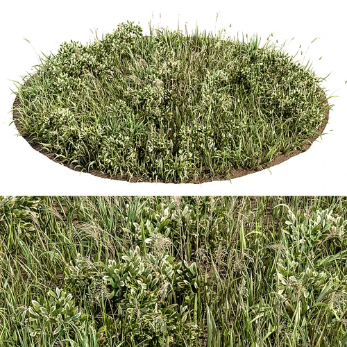 现代圆形草地草坪