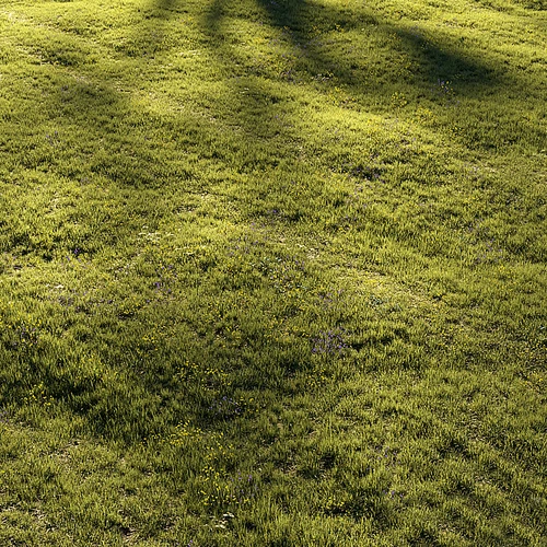 现代草地