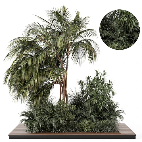 现代植物堆