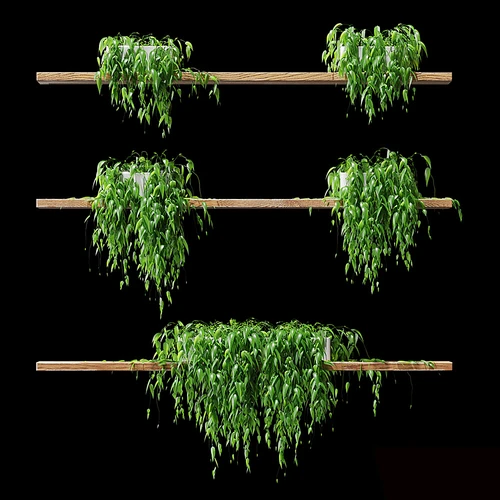 现代绿植盆栽