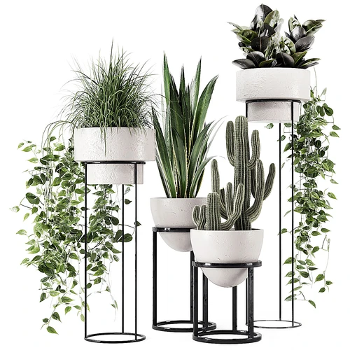 现代绿植盆栽3D模型