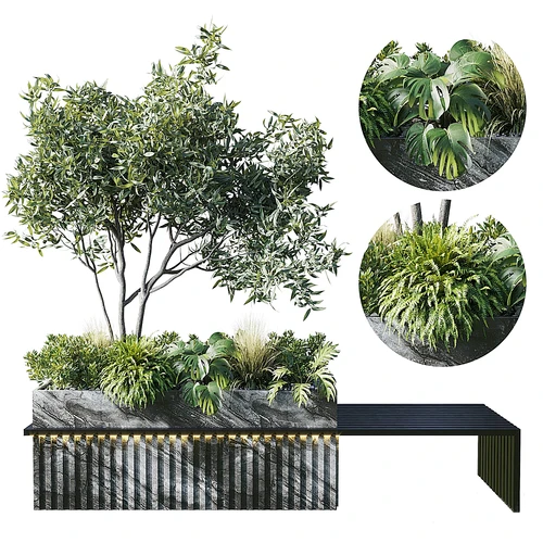 现代绿植景观