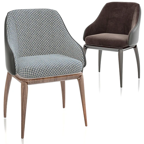 Giorgetti 休闲椅