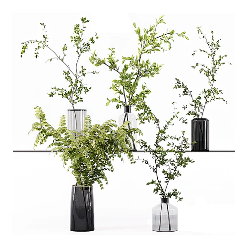 植物摆件