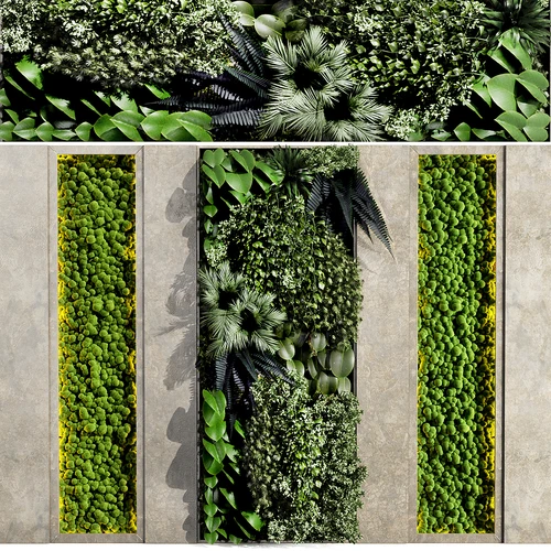 现代绿植墙