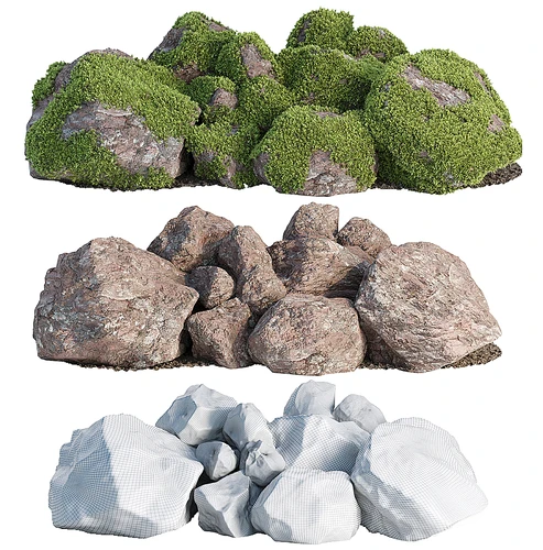 现代石碓苔藓